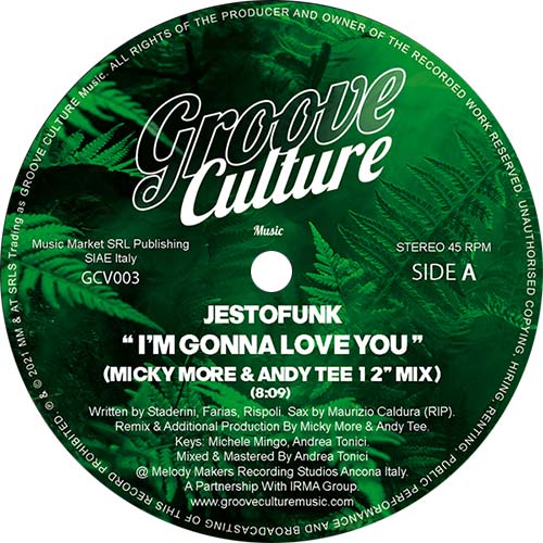 I'm Gonna Love You (Micky More & Andy Tee 12" Mix)
