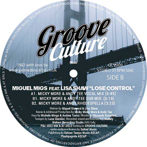 Lose Control (Micky More & Andy Tee Remixes)